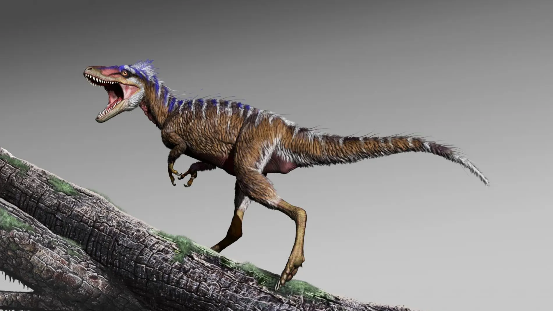 Recreación del aspecto del T-Rex en miniatura | Jorge González