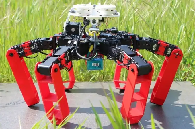 El robot que se orienta como una hormiga (y sin GPS)