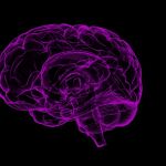 El estudio ha reivindicado el papel que tiene el cerebelo / Pixabay