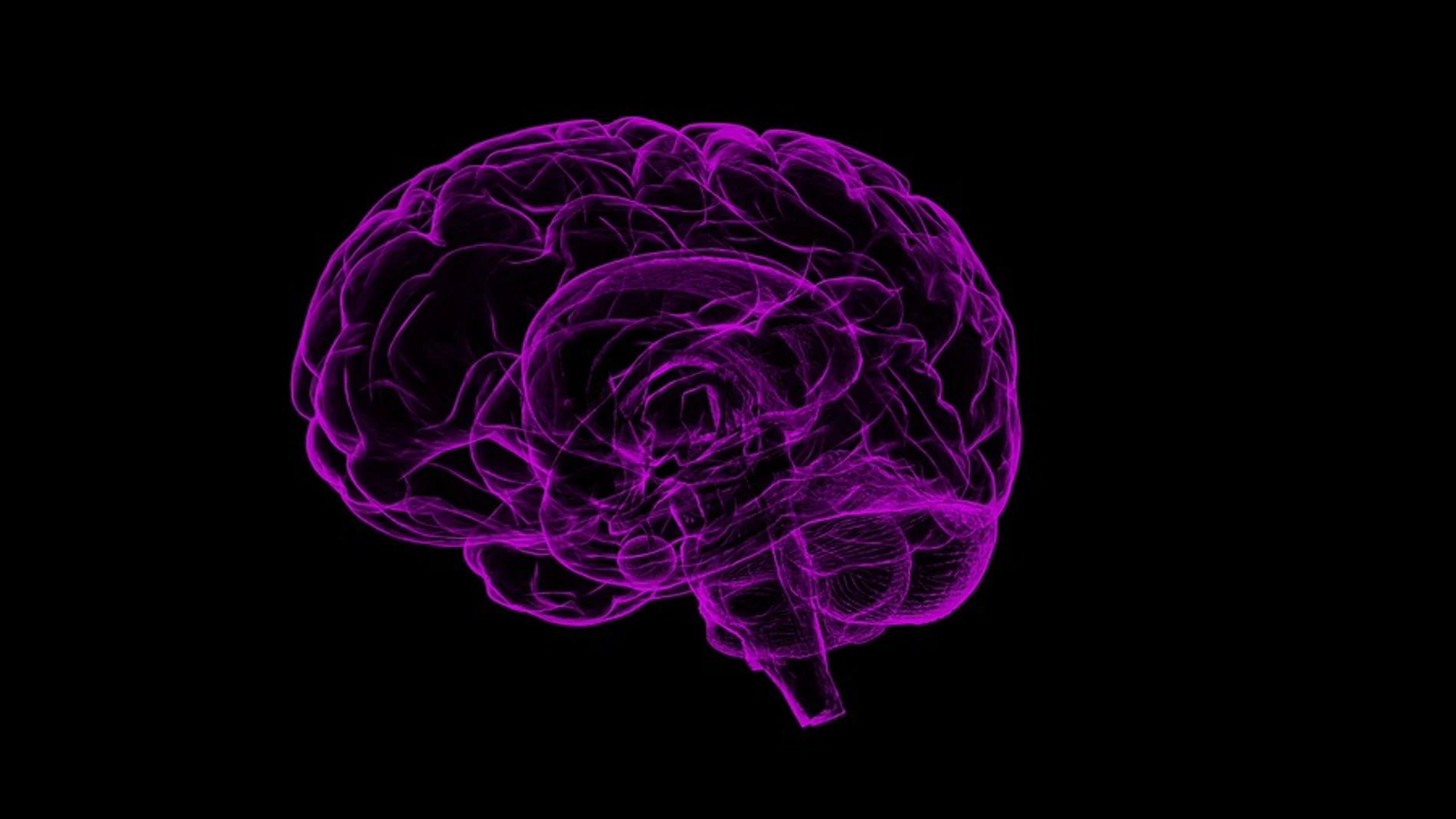 El estudio ha reivindicado el papel que tiene el cerebelo / Pixabay