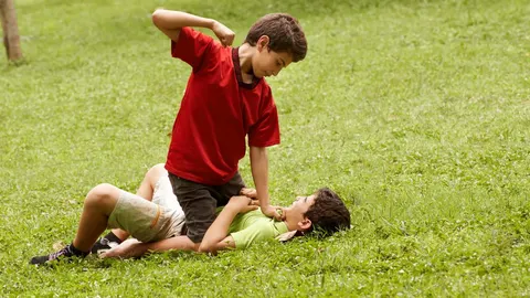 La construcción de la violencia desde la etapa infantil hasta la de adulto