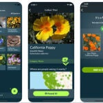 Seek, el Shazam de la naturaleza