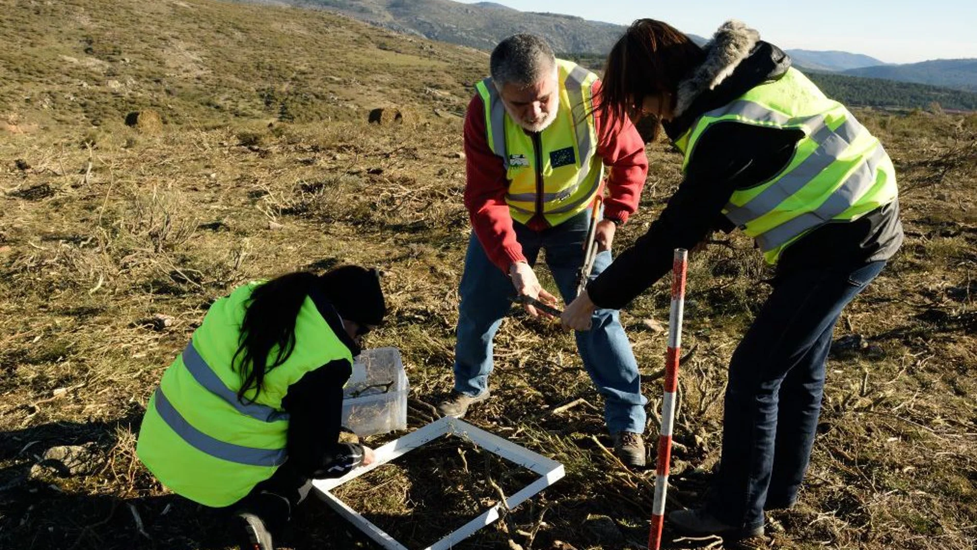 Proyecto europeo EnerbioScrub para estudiar el impacto que el desbroce puede tener sobre el suelo