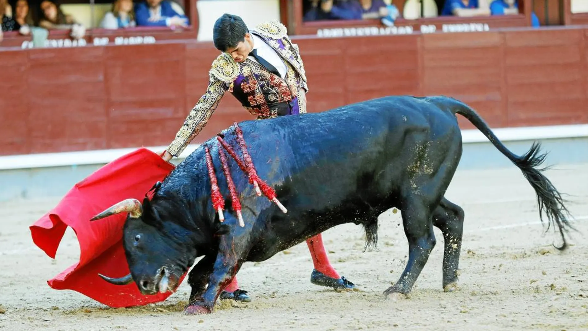 Francisco de Manuel dando un derechazo, ayer, en la última novillada de San Isidro. Foto: Efe