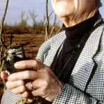 El último patriarca de Doñana