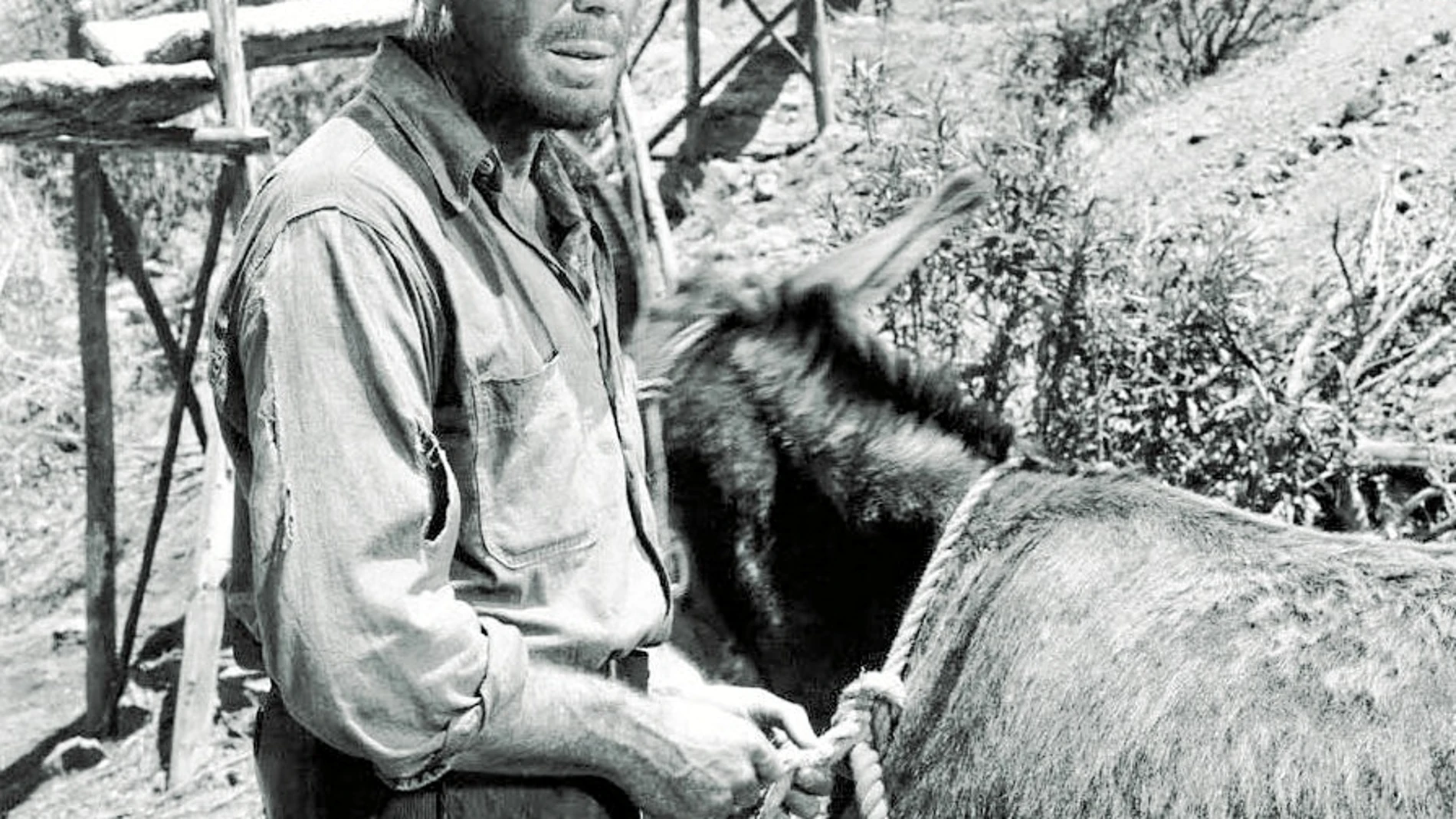 Humphrey Bogart en una escena de «El tesoro de Sierra Madre», por la que John Huston ganó el Oscar al mejor director