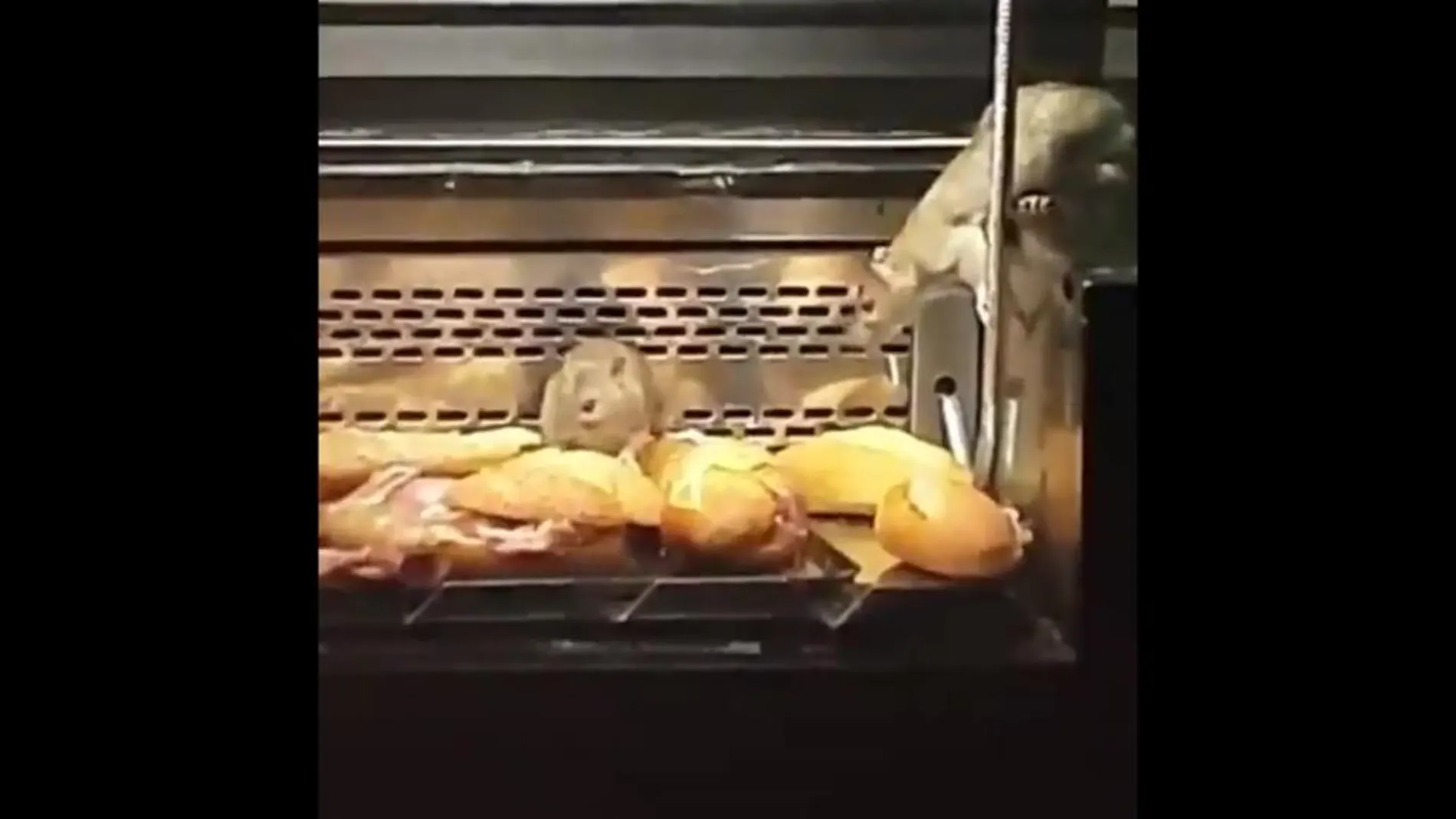 Precintan una panadería en Madrid tras detectar ratas en el escaparate