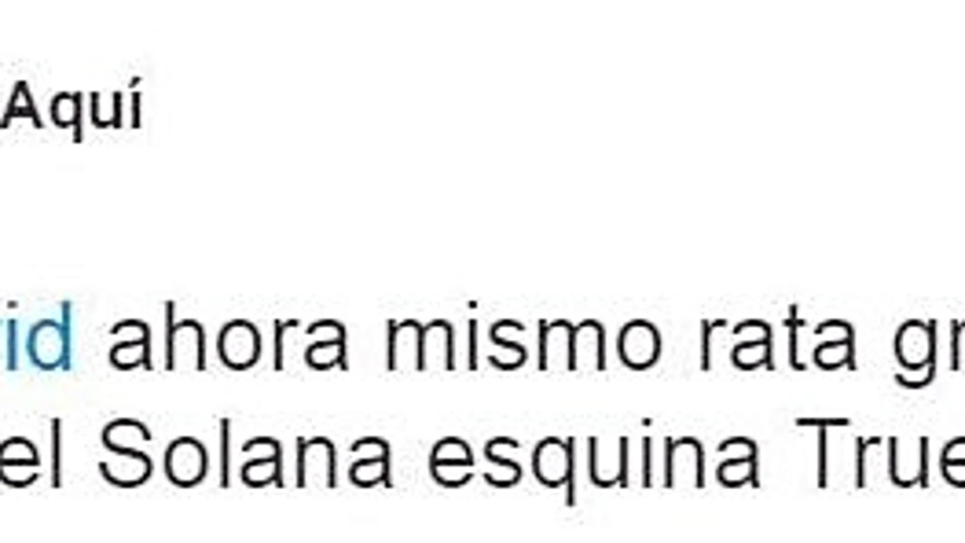 «Llevan cuatro días sin limpiar estas calles y hay hasta ratas muertas»