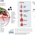 El mosquito tigre transmite el dengue en España