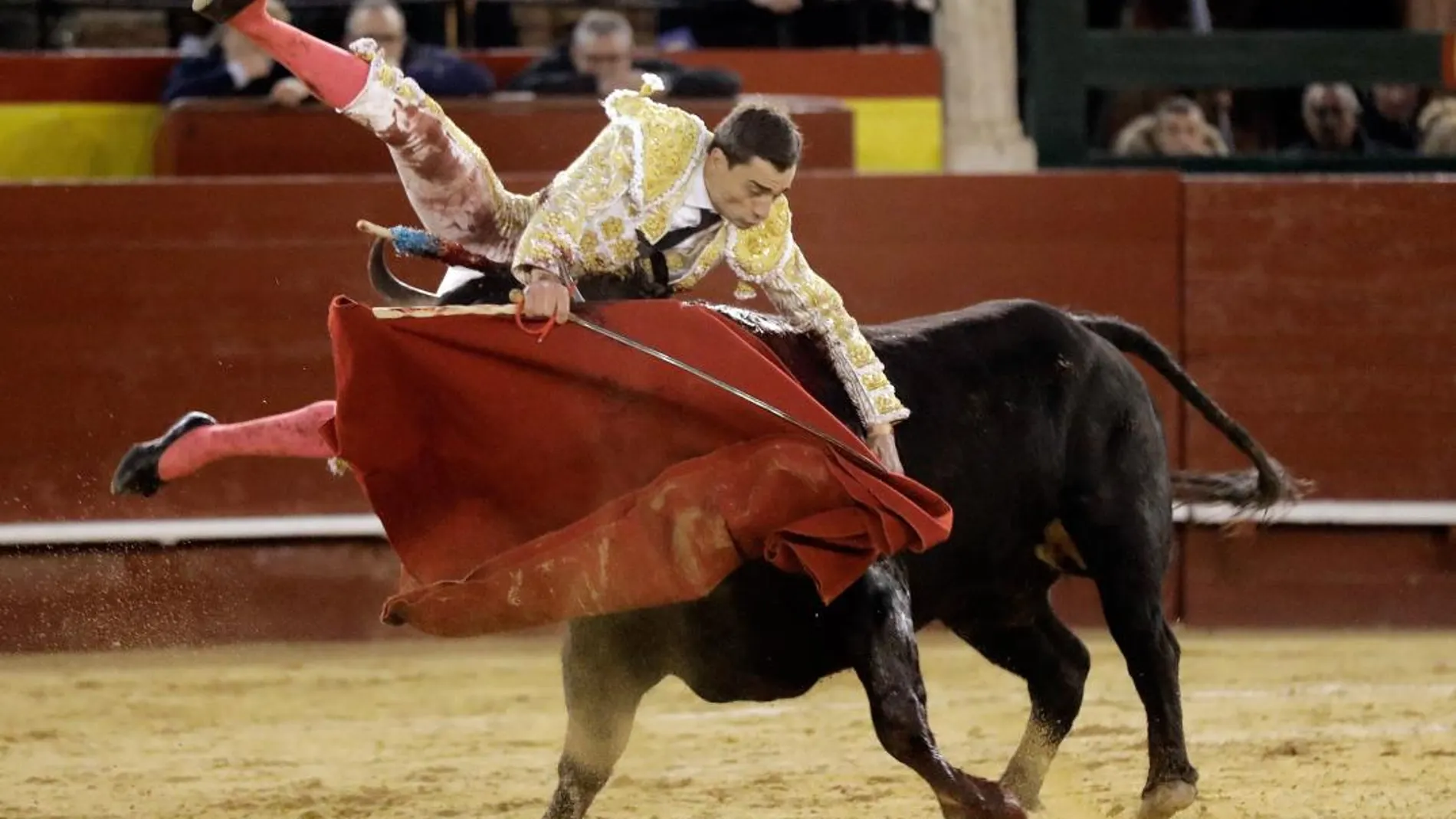 El torero Paco Ureña durante la aparatosa cogida durante la lidia a su segundo toro. EFE/ Juan Carlos Cárdenas
