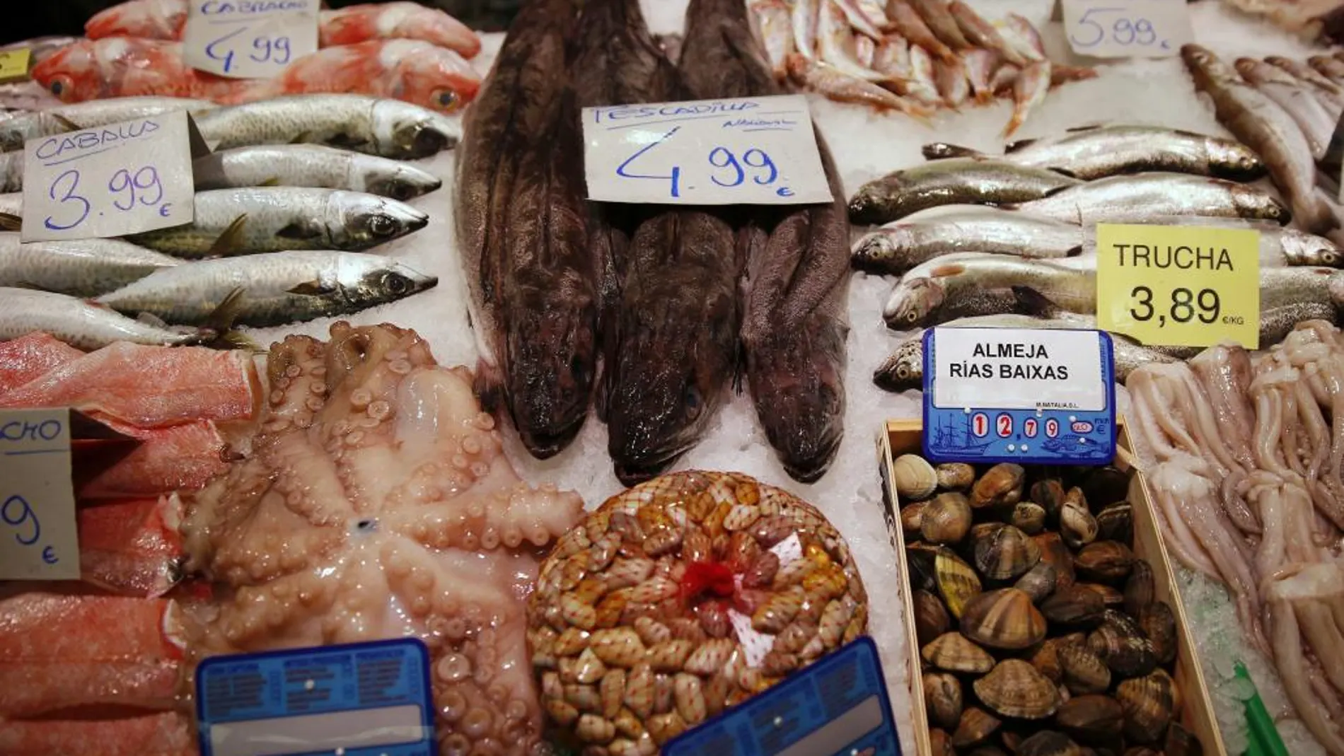 Los niños españoles, más expuestos al mercurio del pescado que la media europea