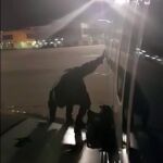 El hombre sobre el ala del avión