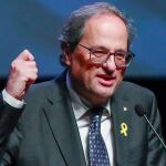 El presidente de la Generalitat, Quim Torra. Foto: Efe/Epa/Stephanie Lecocq