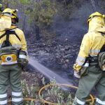 Las brigadas forestales refrescan las zonas afectadas por las llamas para evitar que puedan reactivarse