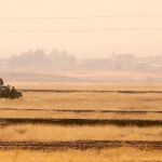 Vehículos blindados del Ejército iraquí durante un operativo en Bashiqa, cerca de Mosul