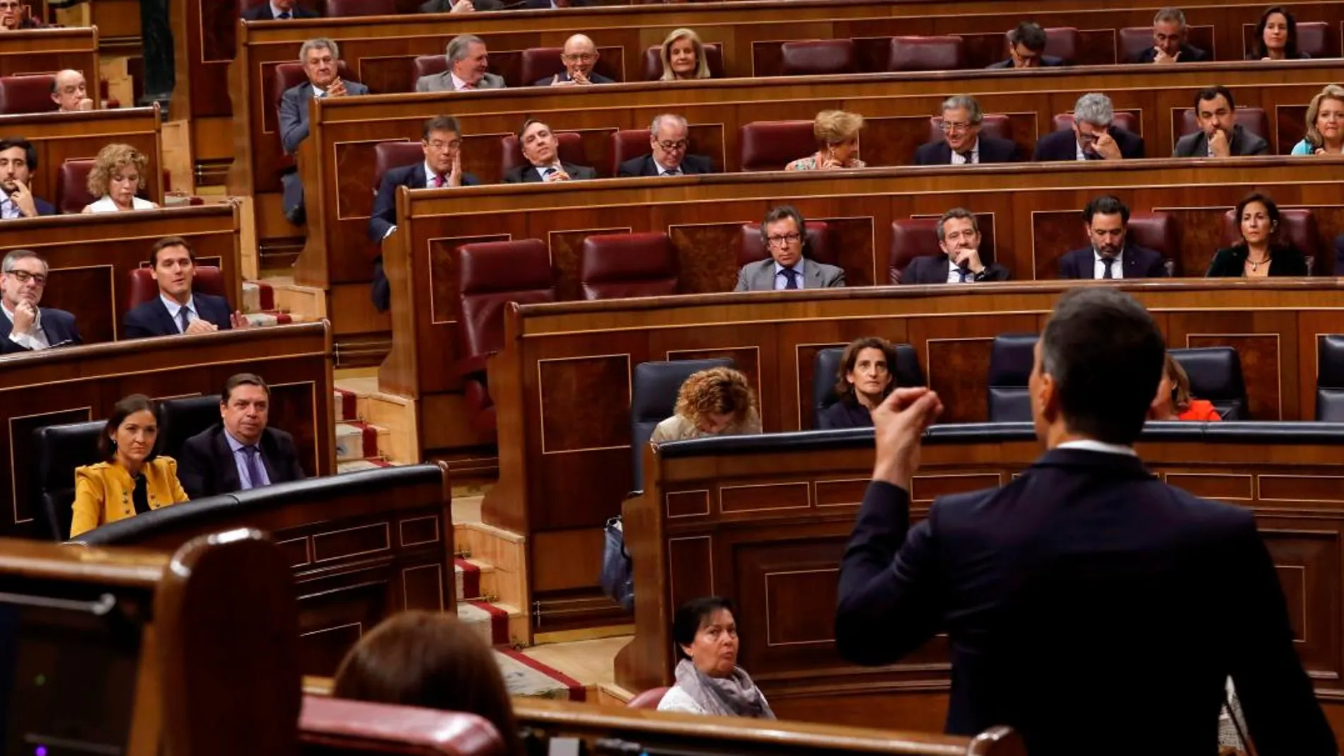 El presidente del Gobierno, Pedro Sánchez, responde al líder de Ciudadanos, Albert Rivera, en el Congreso de los Diputados / Foto: Efe