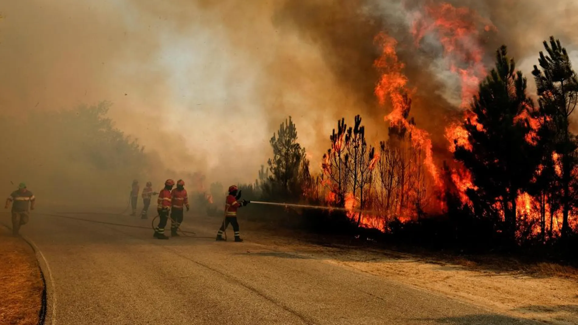 Detenidos dos jóvenes en La Coruña acusados de provocar 13 incendios forestales
