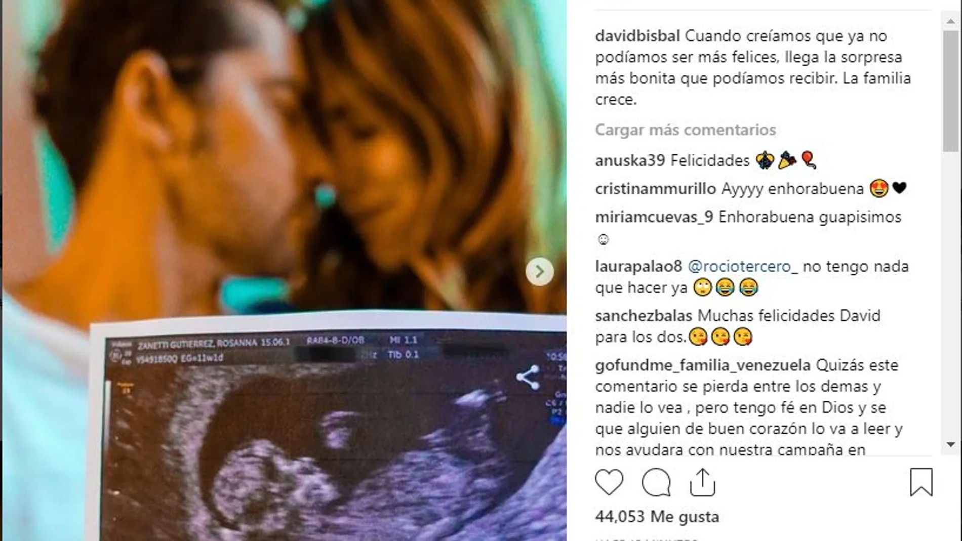 David Bisbal y Rosanna Zanetti anuncian embarazo