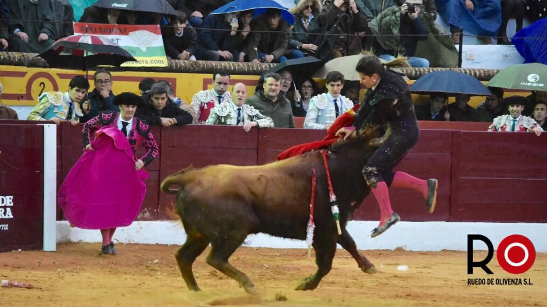 María del Mar Santos siendo cogida por uno de los novillos