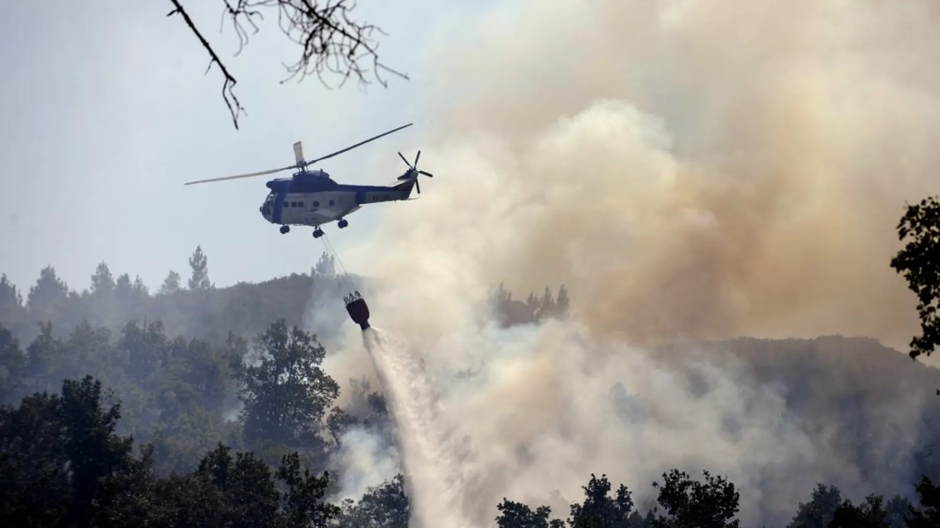El fuego ha arrasado de 62.830 hectáreas de superficie en lo que va de año