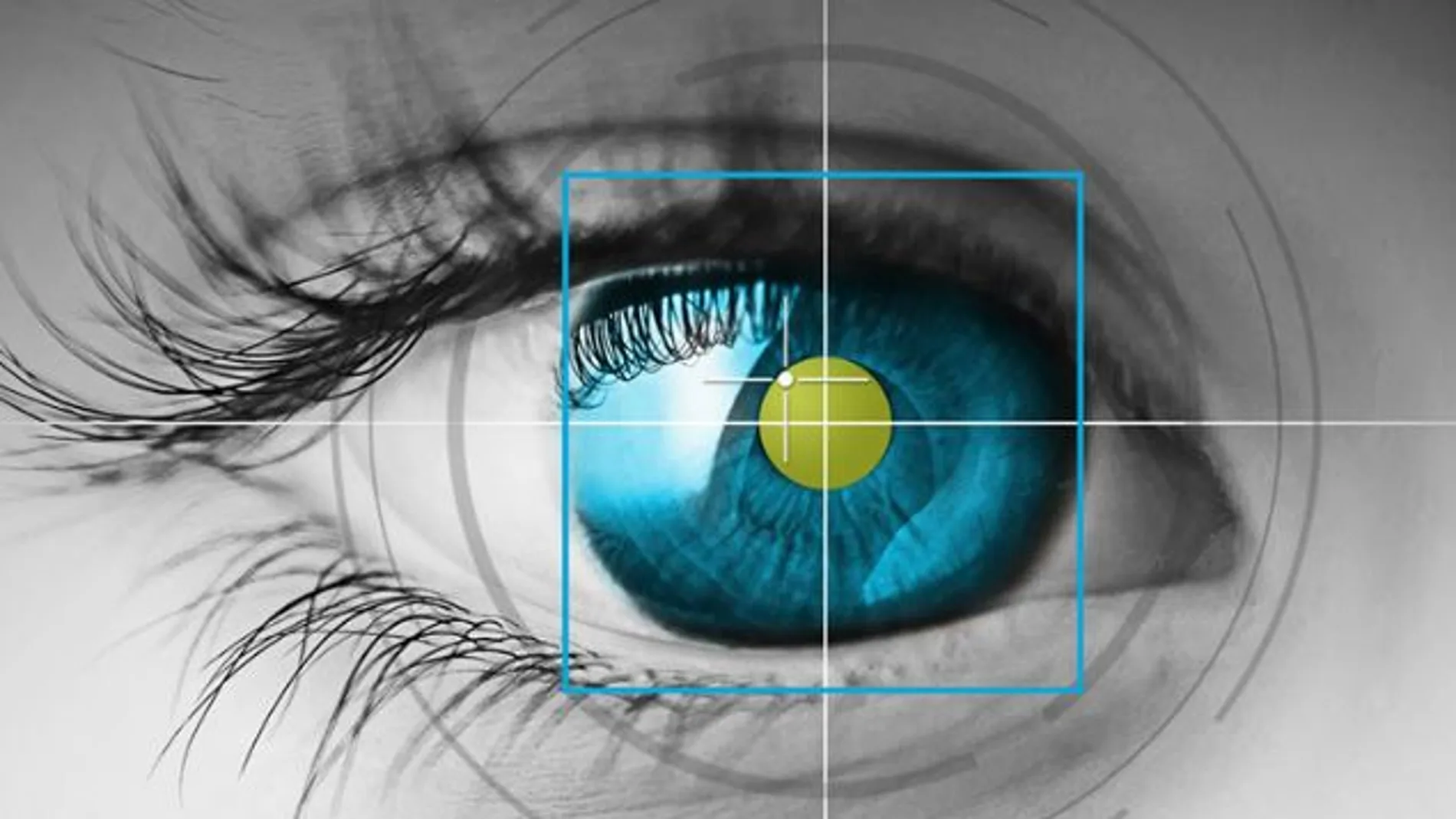 Las pruebas de «eye-tracking» se llevarán a cabo en niños de dos meses en adelante.