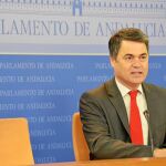 El portavoz de los populares andaluces en el Parlamento, Carlos Rojas