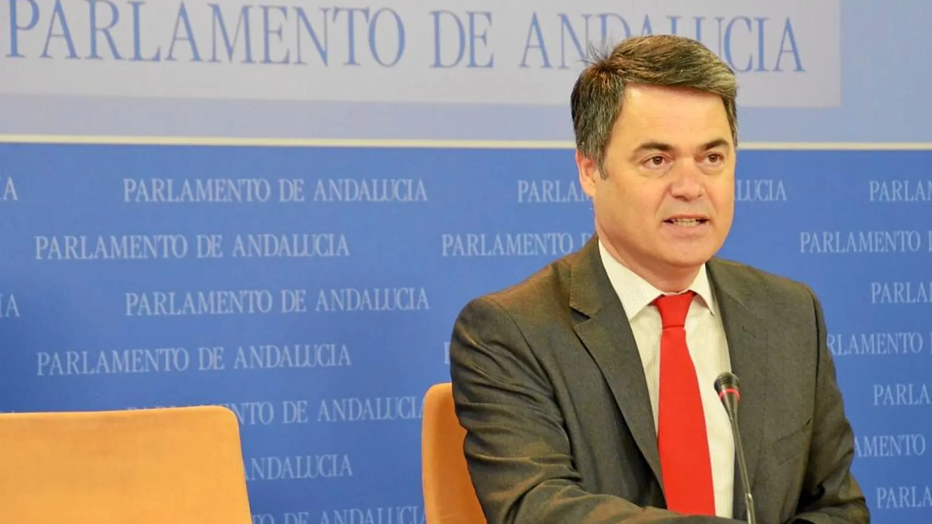 El portavoz de los populares andaluces en el Parlamento, Carlos Rojas