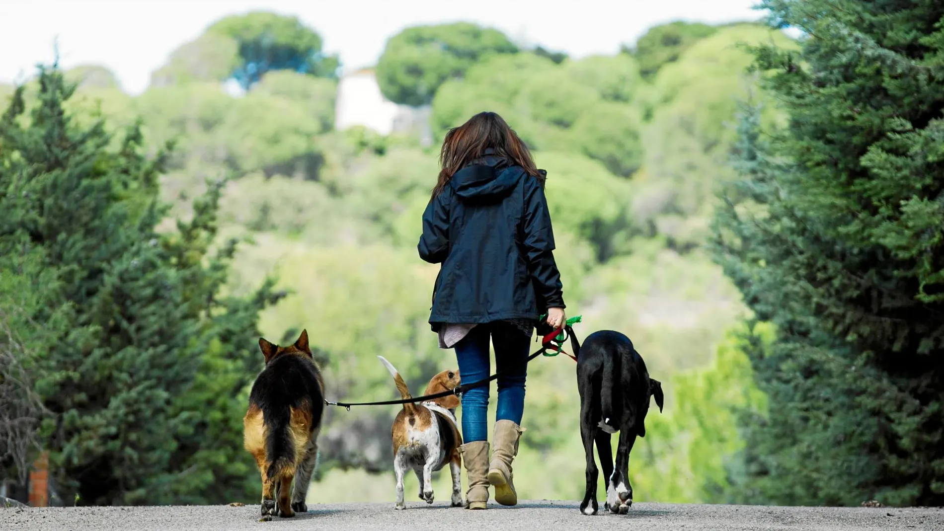 La ocupación de los centros de acogida ha aumentado un 16% en los últimos años