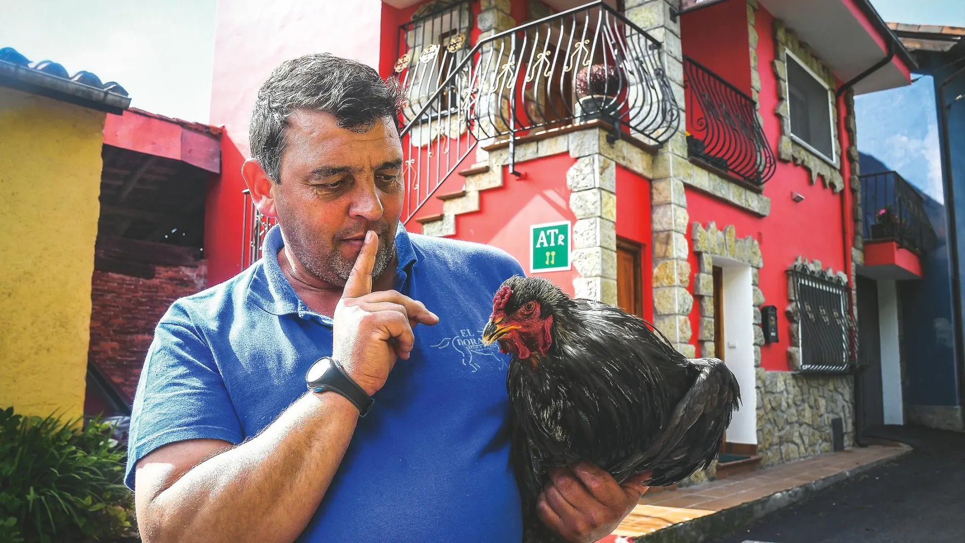 Fernando, dueño del gallinero que el Ayuntamiento quiere clausurar, posa con una de sus aves frente al hotel que denunció los cacareos. Foto: Nacho Cubero