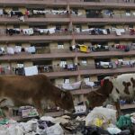 Viviendas en un barrio de Nairobi