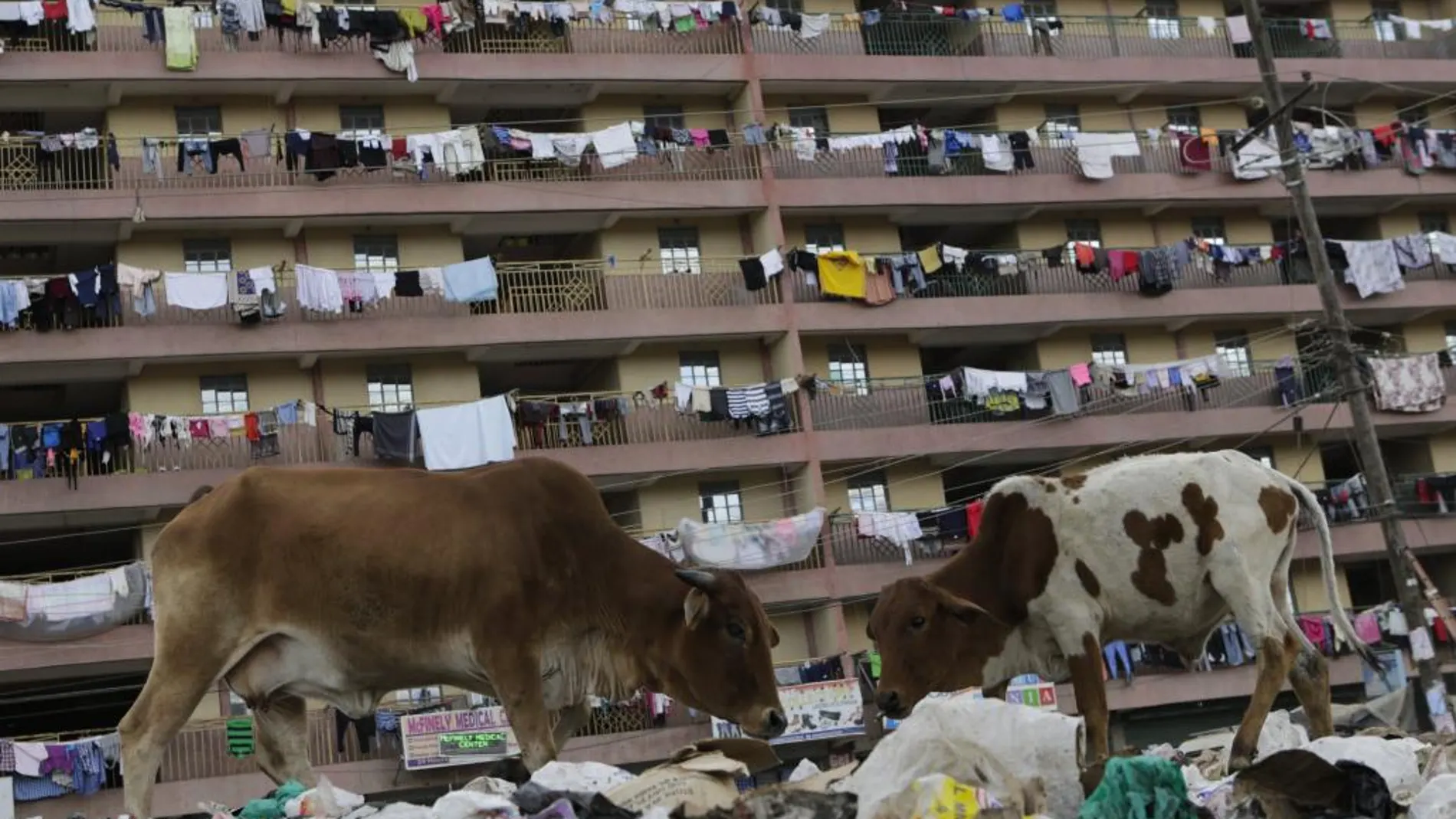 Viviendas en un barrio de Nairobi