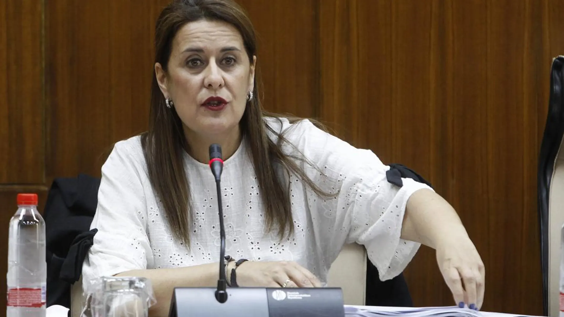 La consejera de Educación, Sonia Gaya