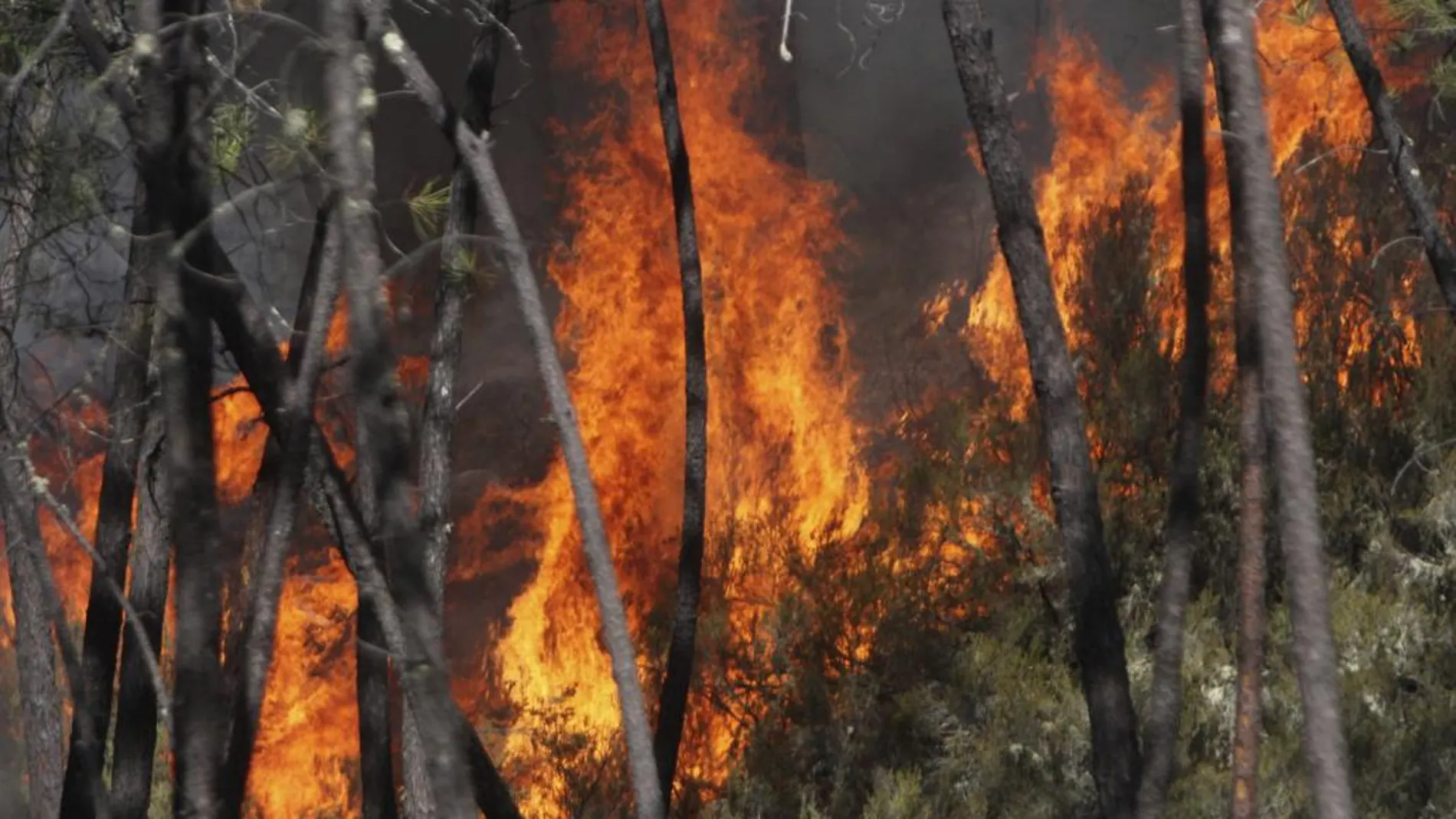 Incendio forestal declarado el pasado viernes en un paraje del término municipal de Nerva, en la provincia de Huelva.