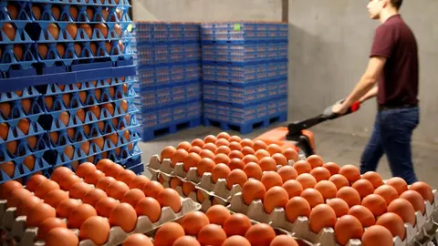 La partida había sido enviada a una empresa vizcaína para elaborar productos que entrarían en las cadenas de distribución alimentaria