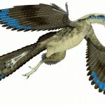 ¿Cuál fue el primer pájaro de la historia?