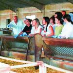 La presidenta de Amfar, Lola Merino, visita una explotación agrícola y ganadera.