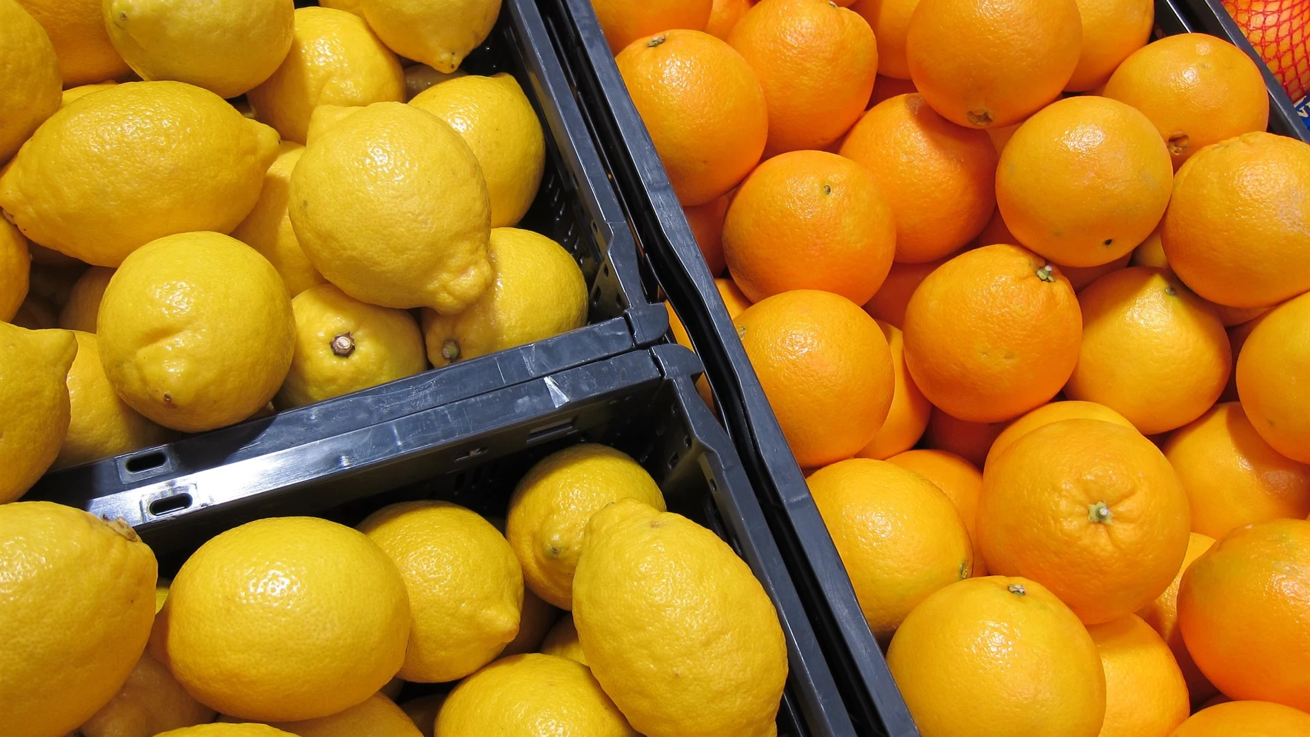 La organización agraria Asaja Murcia califica de «muy mala» la primera parte de la campaña citrícola, y esperan a que a partir de enero se recuperen los precios y se genere mayor dinamismo en el mercado