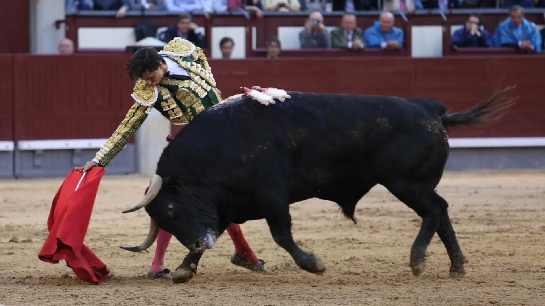 Andrés Roca Rey toreando por el pitón derecho al segundo de su lote, del que consiguió cortar una oreja. Foto: Rubén Mondelo.