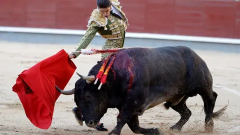 El diestro Alejandro Talavante da un pase a uno de sus astados en el cuarto festejo de la Feria de Otoño de Las Ventas/Foto: Efe
