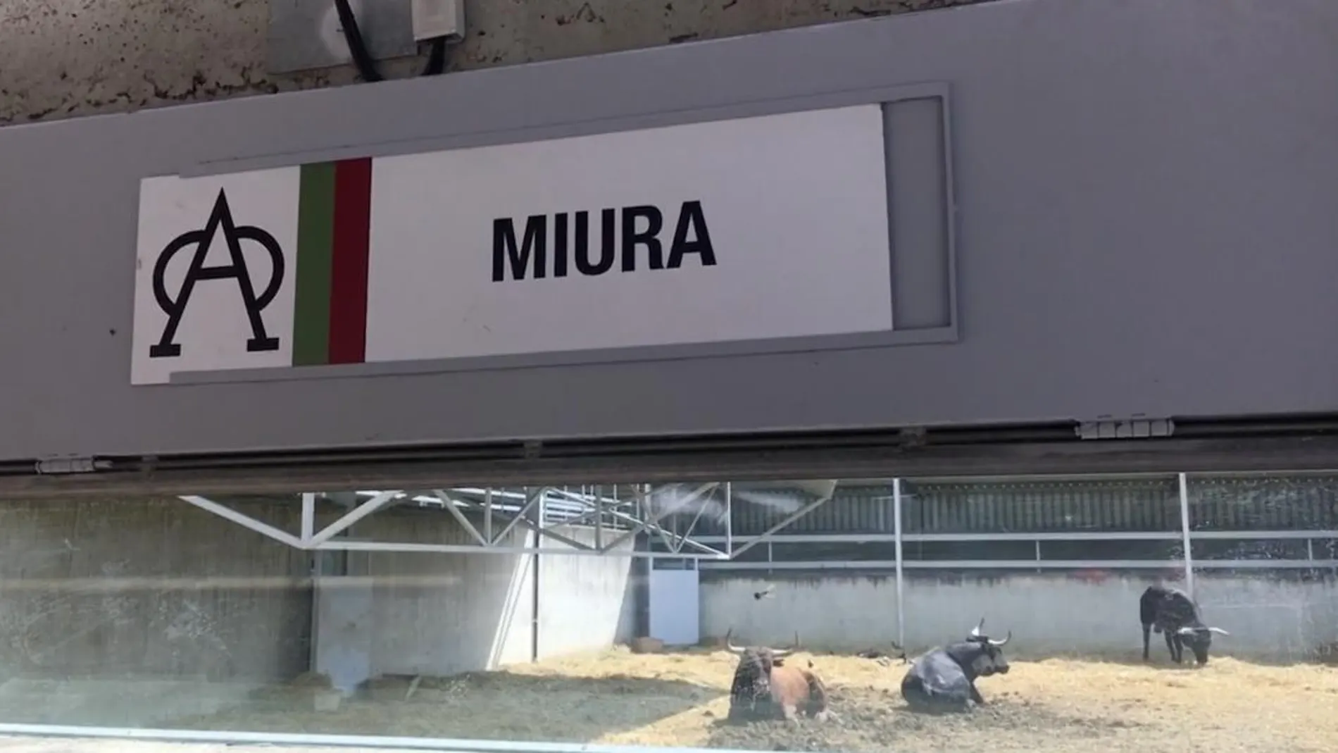 Los toros de Miura en los Corrales del Gas de Pamplona / N.R.