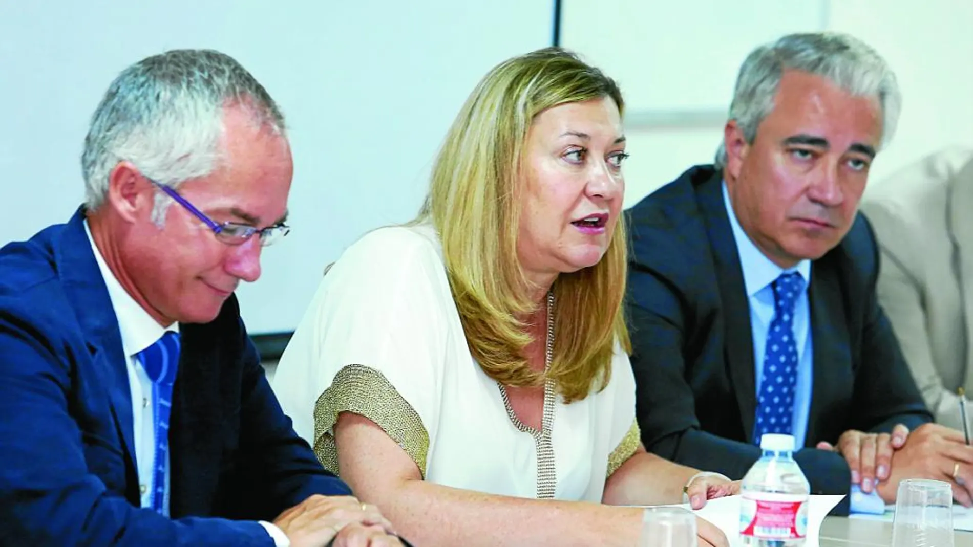 Pilar del Olmo preside la Comisión de Seguimiento del Plan de Dinamización de los Municipios Mineros.