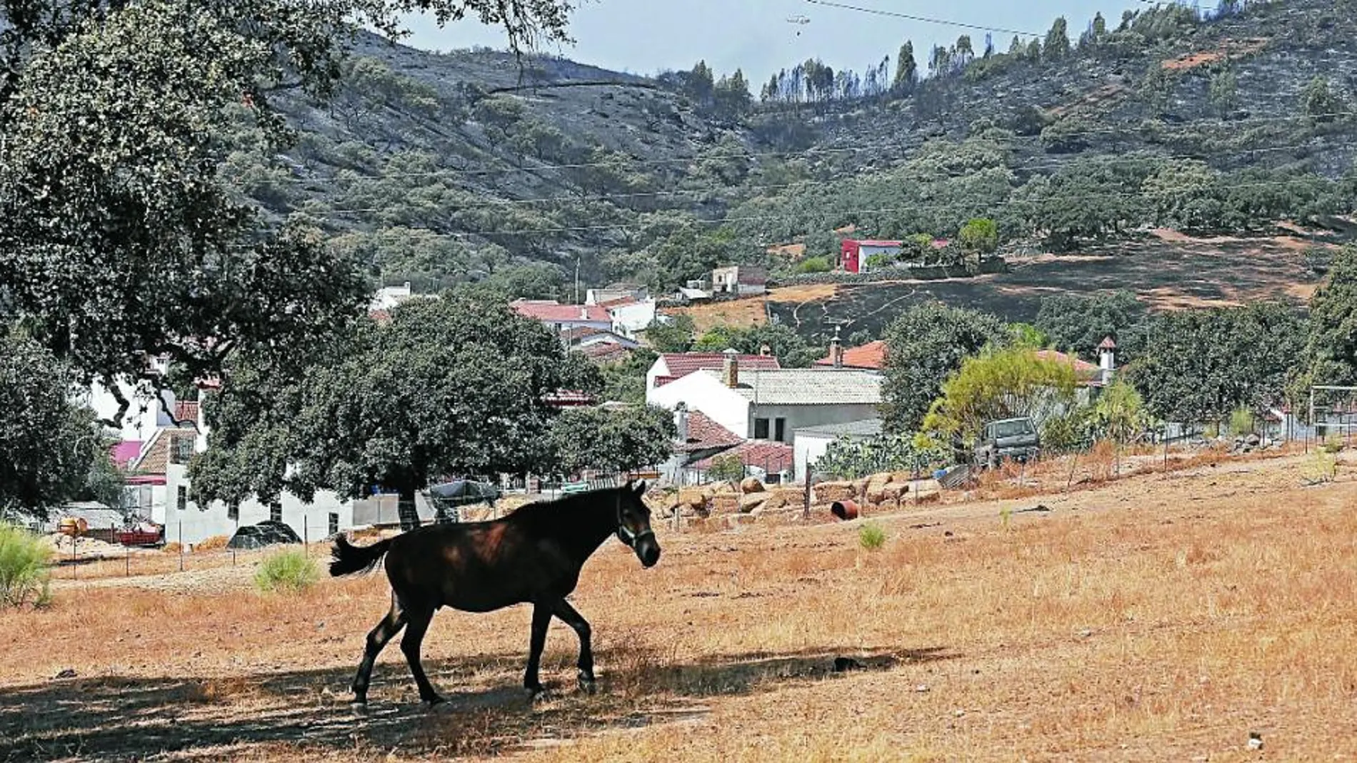 Vista del paraje incendiado en el municipio sevillano de El Castillo de las Guardas.