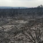 Los incendios forestales asolan Castilla-La Mancha