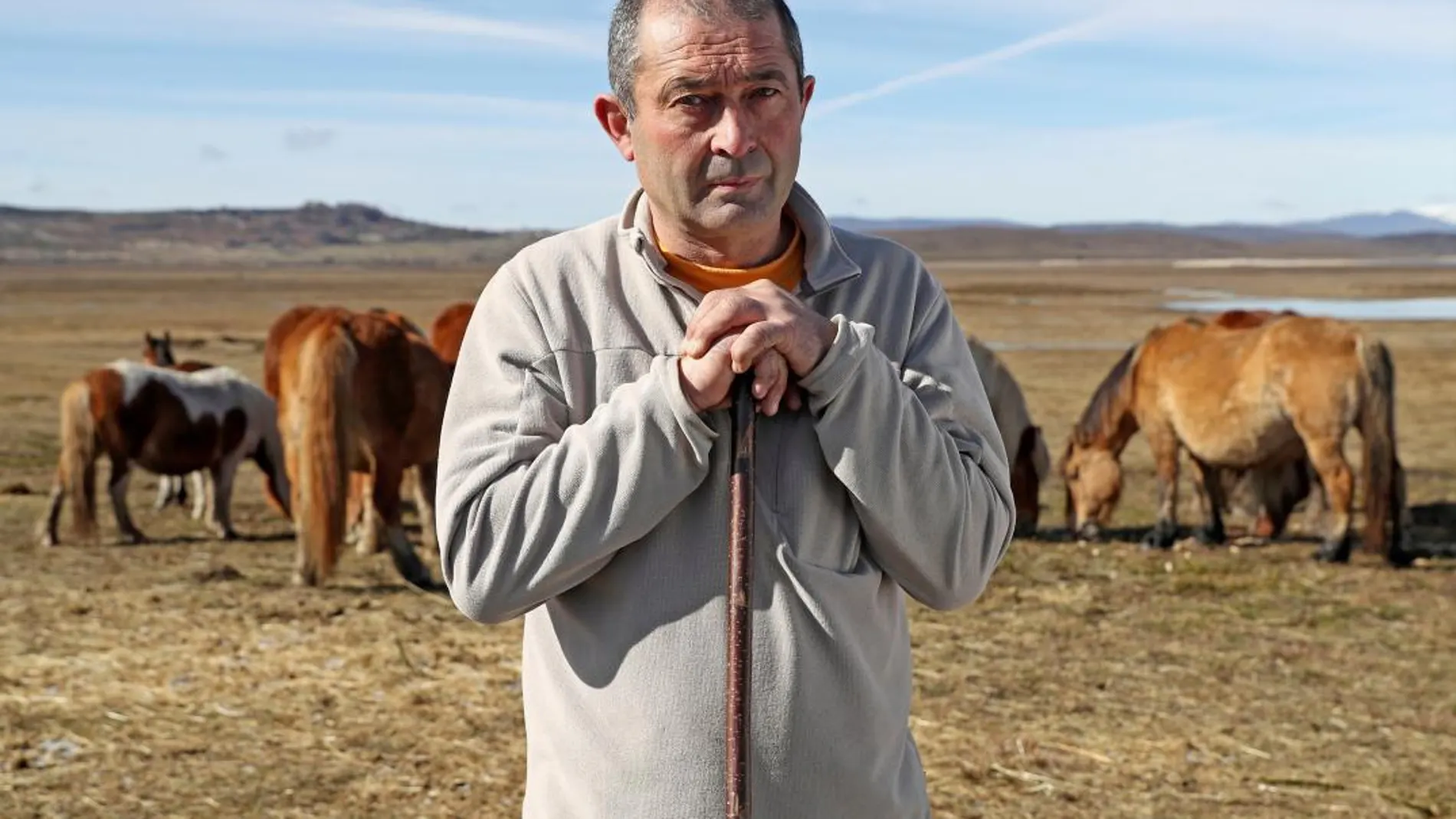 El ganadero David Peña, junto con sus caballos hispano-bretones en Las Merindades, frente al pantano del Ebro (Burgos),