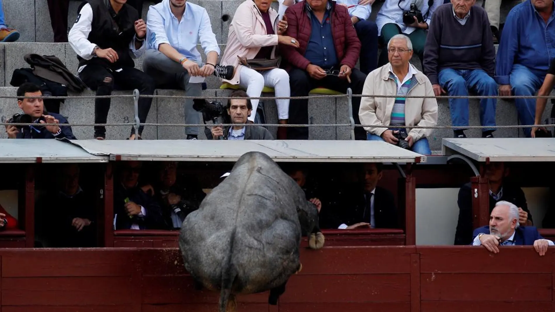 Momento en el que el toro salta la barrera. Foto: Víctor Lerena/EFE