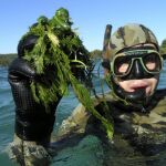 Un submarinista muestra unas algas, en una imagen de archivo