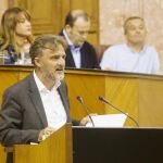 El consejero andaluz de Medio Ambiente y Ordenación del Territorio, José Fiscal, en el Parlamento regional / Foto: Efe