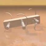 El «sprint» del lagarto inspira un robot del desierto
