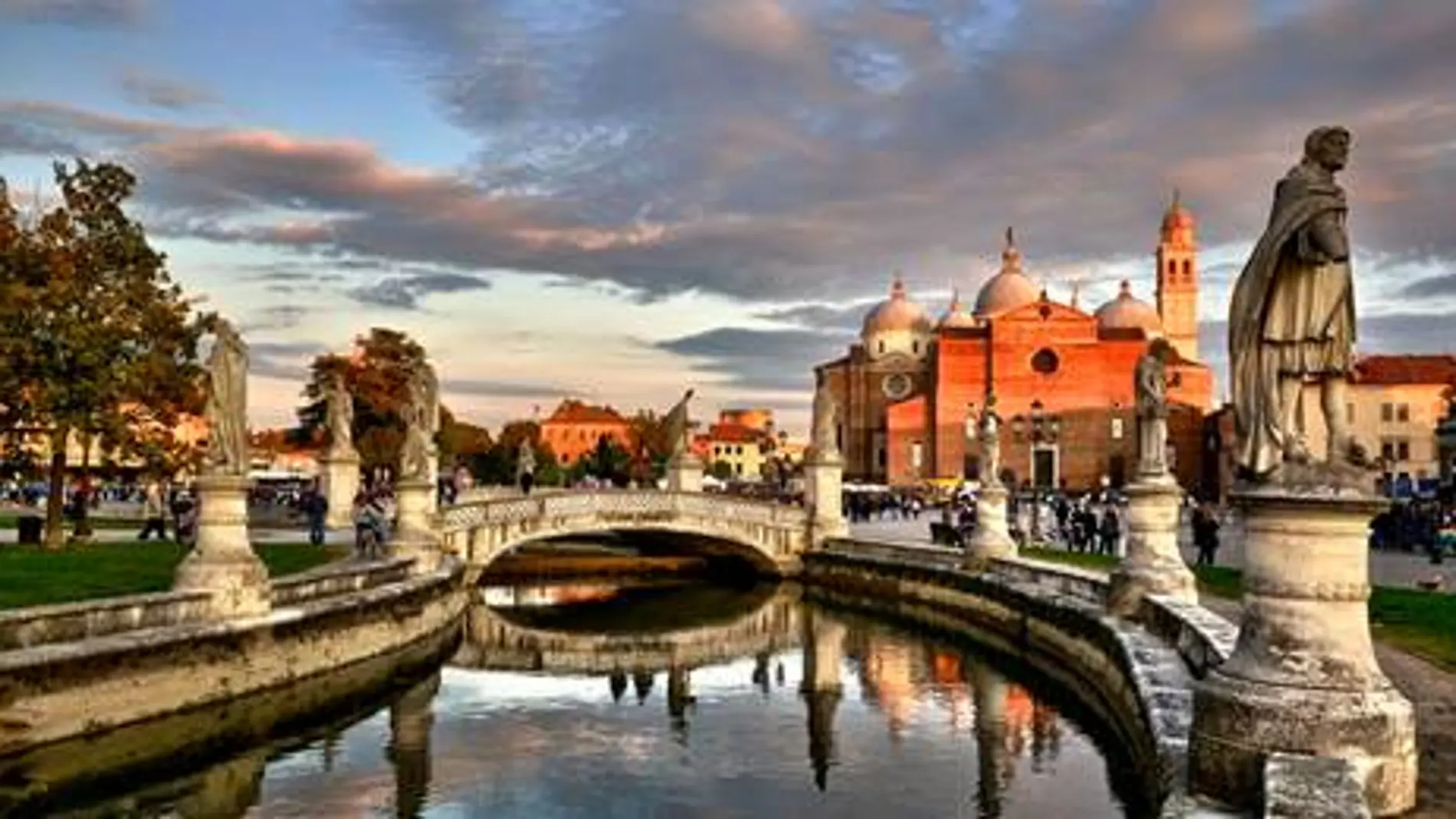 Padua IPE by Madison