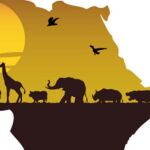 IPE África